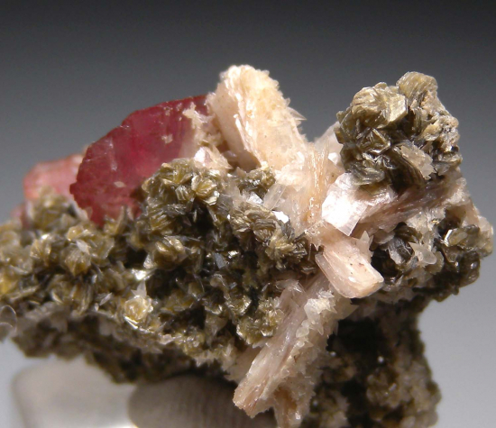 Rhodochrosite with Bertrandite from Kounrad Massif, Karaganda Region, Kazakhstan [db_pics/pics/r283b.jpg]