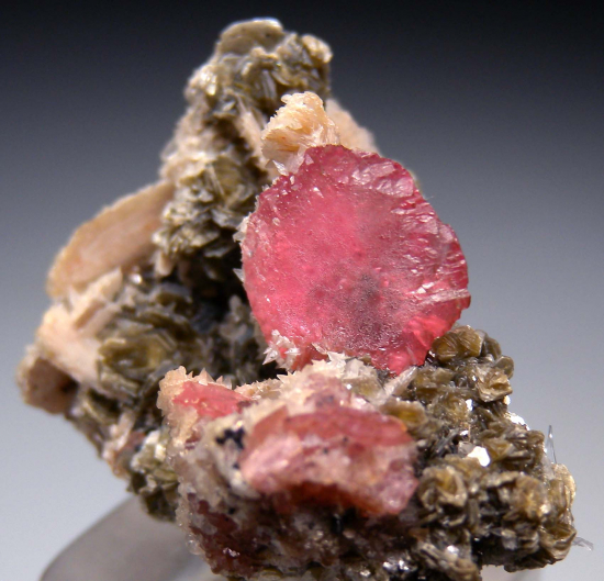 Rhodochrosite with Bertrandite from Kounrad Massif, Karaganda Region, Kazakhstan [db_pics/pics/r283c.jpg]