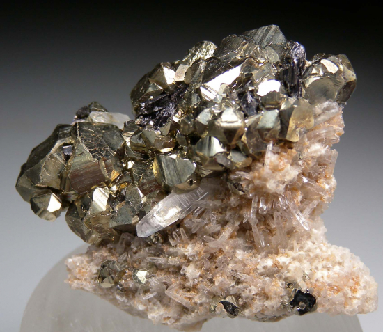 Pyrite on Quartz from West Colusa Mine, Butte, Silver Bow Co., Montana, USA [db_pics/pics/r317a.jpg]
