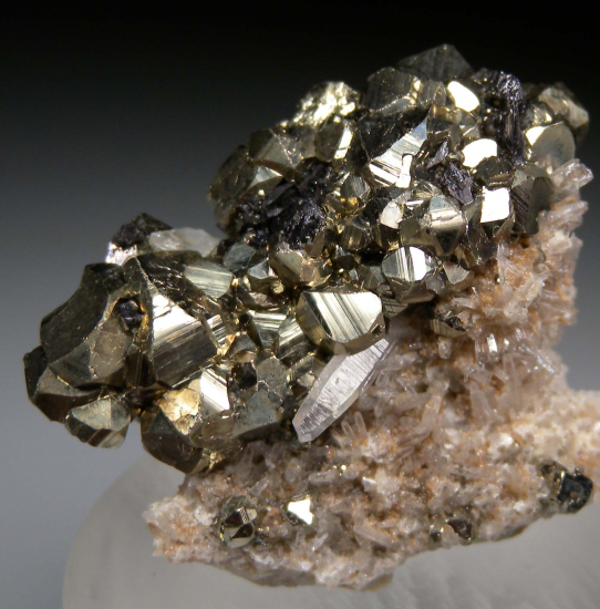 Pyrite on Quartz from West Colusa Mine, Butte, Silver Bow Co., Montana, USA [db_pics/pics/r317b.jpg]