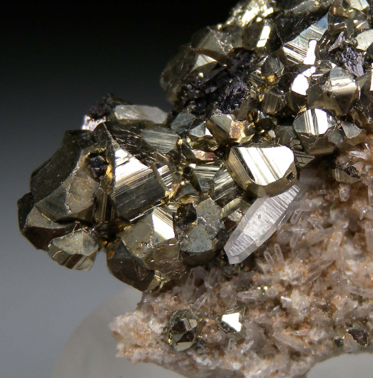 Pyrite on Quartz from West Colusa Mine, Butte, Silver Bow Co., Montana, USA [db_pics/pics/r317c.jpg]