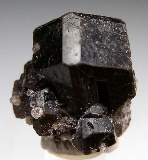 Buergerite from Mexquitic, San Luis Potosi, Mexico [db_pics/pics/r323b.jpg]