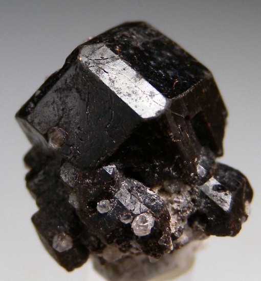 Buergerite from Mexquitic, San Luis Potosi, Mexico [db_pics/pics/r323c.jpg]