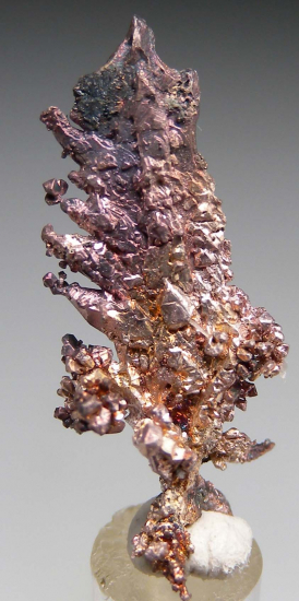 Silver from Batopilas, Chihuahua, Mexico [db_pics/pics/r324a.jpg]