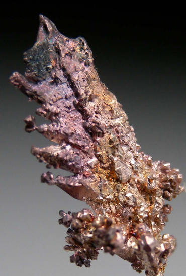 Silver from Batopilas, Chihuahua, Mexico [db_pics/pics/r324b.jpg]