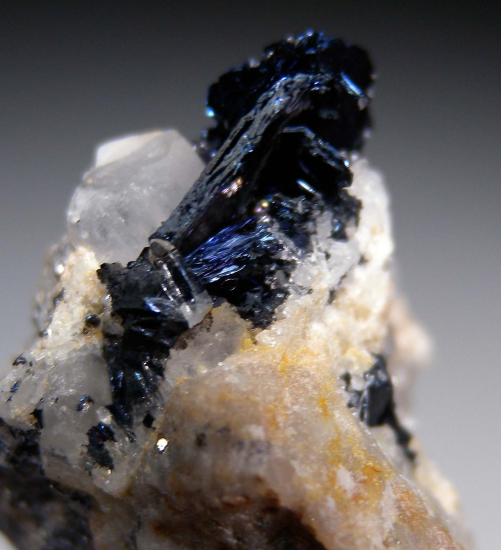 Covellite with Quartz from Butte, Silver Bow Co., Montana, USA [db_pics/pics/r326d.jpg]