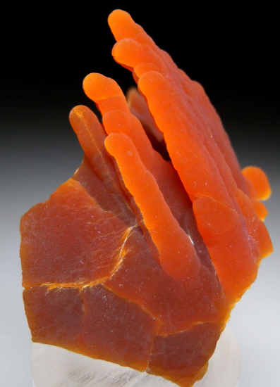 Calcite stalactites from Alzada, Carter County, Montana, USA [db_pics/pics/r334c.jpg]