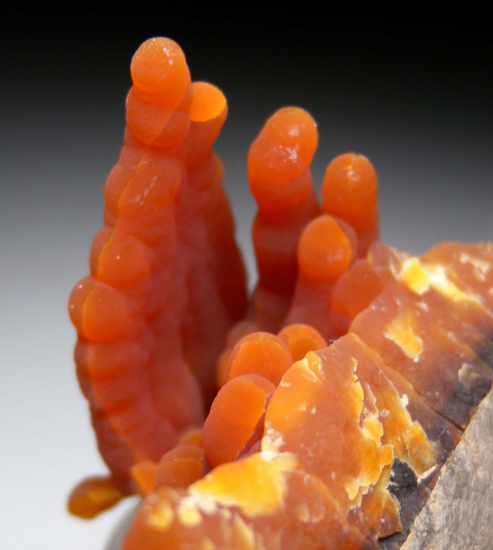 Calcite stalactites from Alzada, Carter County, Montana, USA [db_pics/pics/r334d.jpg]