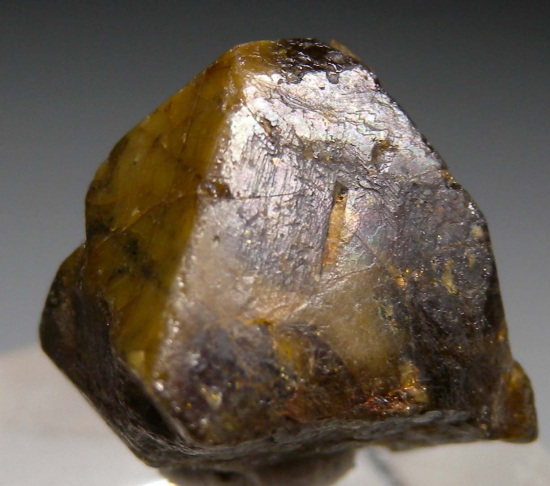 Microlite from Rutherford Mine, Amelia (Amelia Court House), Amelia County, Virginia, USA [db_pics/pics/r338d.jpg]