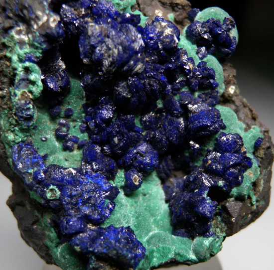 Azurite on Malachite from La Sal, San Juan Co., Utah, USA [db_pics/pics/r349c.jpg]