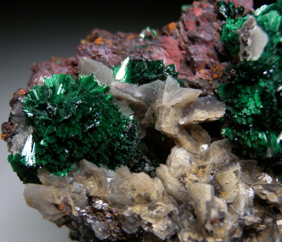 Malachite from Andrassy Mine, Rudabanya, Hungary [db_pics/pics/r388b.jpg]