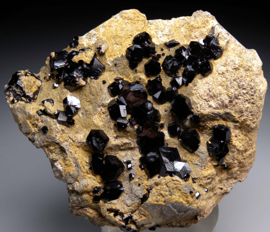 Andardite var. Melanite from San Benito Co., California, USA [db_pics/pics/r406a.jpg]