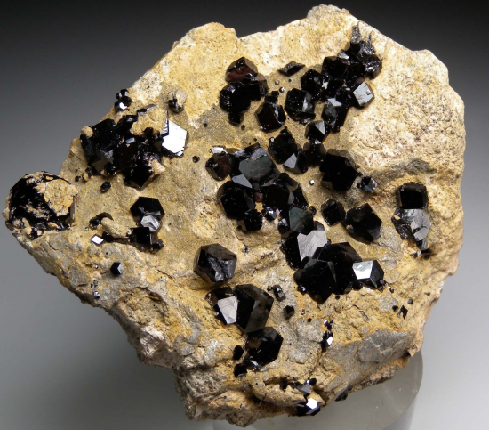 Andardite var. Melanite from San Benito Co., California, USA [db_pics/pics/r406b.jpg]