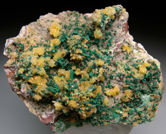 Mimetite with Malachite from Tsumeb, Namibia [db_pics/pics/r427a.jpg]