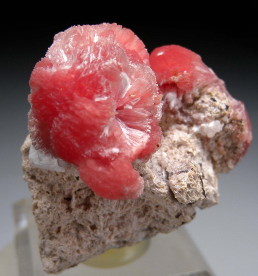 Inesite from Kuruman, South Africa [db_pics/pics/r433d.jpg]