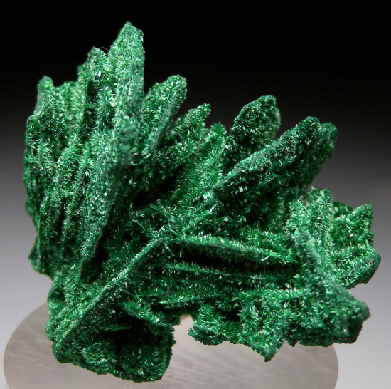 Malachite ps. Barite from Mashamba West Mine, Lualaba, DR Congo [db_pics/pics/r454a.jpg]