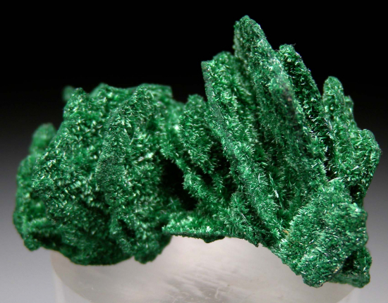 Malachite ps. Barite from Mashamba West Mine, Lualaba, DR Congo [db_pics/pics/r454b.jpg]