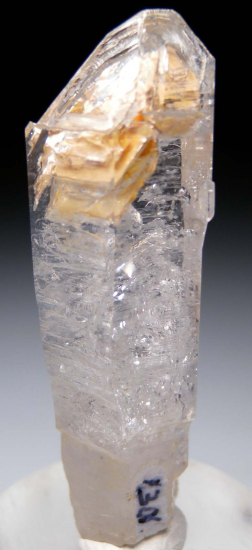 Quartz scepter from Big Sulfur Creek Canyon, near Socrates Mine, Sonoma Co., California, USA [db_pics/pics/r462c.jpg]