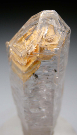 Quartz scepter from Big Sulfur Creek Canyon, near Socrates Mine, Sonoma Co., California, USA [db_pics/pics/r462d.jpg]