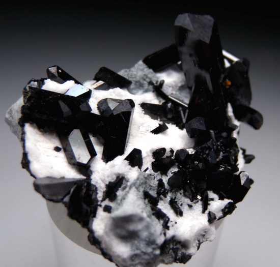 Neptunite from Gem Mine, San Benito Co., California, USA [db_pics/pics/r465b.jpg]