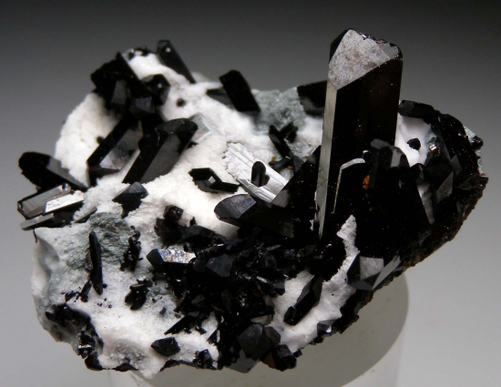 Neptunite from Gem Mine, San Benito Co., California, USA [db_pics/pics/r465c.jpg]