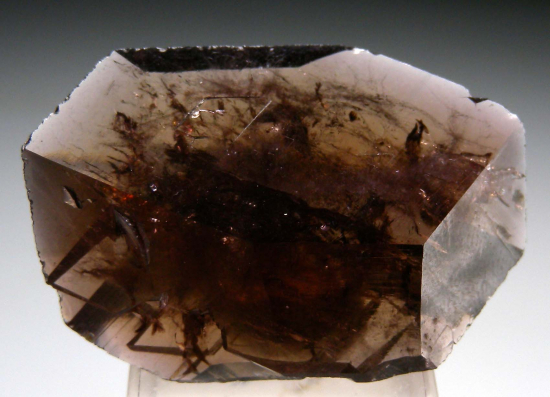 Axinite from Puiva Mountain, Saranpaul, Berezovo district, Russia [db_pics/pics/r466b.jpg]