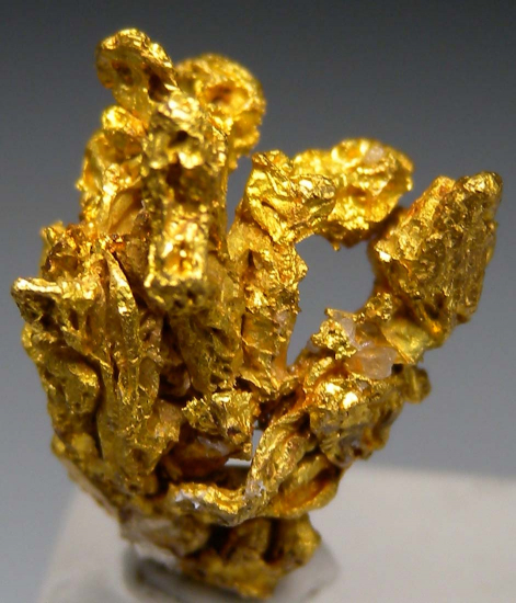Gold from Mother Lode, California, USA [db_pics/pics/r527c.jpg]