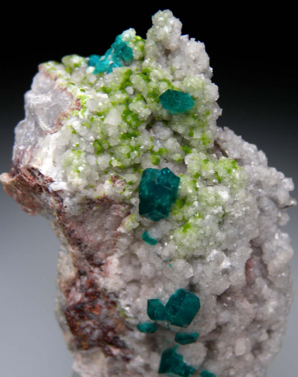 Dioptase, Duftite on Dolomite from Tsumeb, Namibia [db_pics/pics/r542b.jpg]