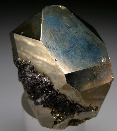 Pyrite from Merelani Hills, Arusha, Tanzania [db_pics/pics/r591b.jpg]