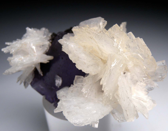 Barite, Galena on Fluorite from Denton Mine, Hardin County, Illinois, USA [db_pics/pics/r598d.jpg]