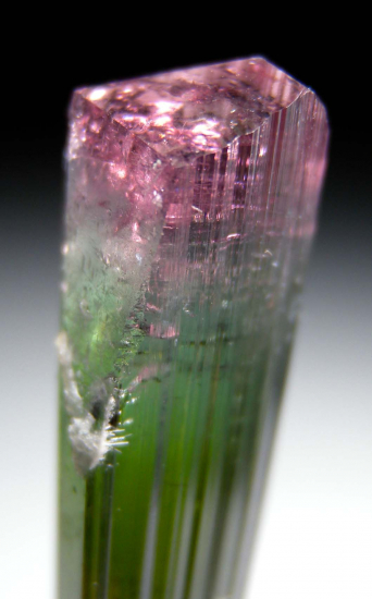 Tourmaline from Cruzeiro Mine, Sao Jose da Safira, Minas Gerais, Brazil [db_pics/pics/r599c.jpg]