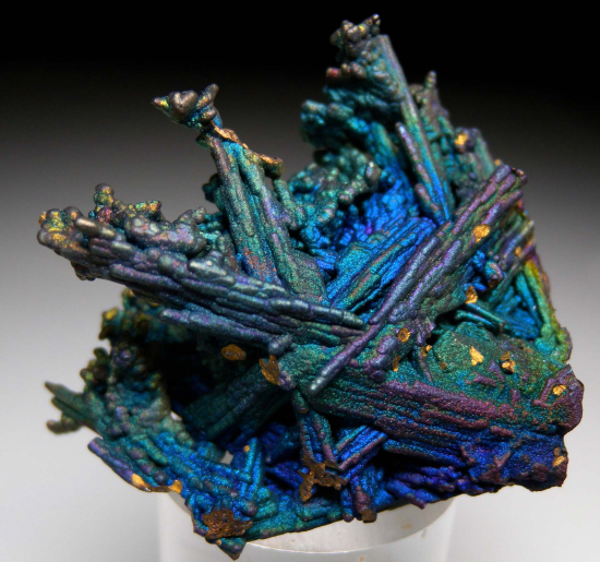 Chalcopyrite over Chalcocite from Daye Mine, Hubie Prov., China [db_pics/pics/r600a.jpg]