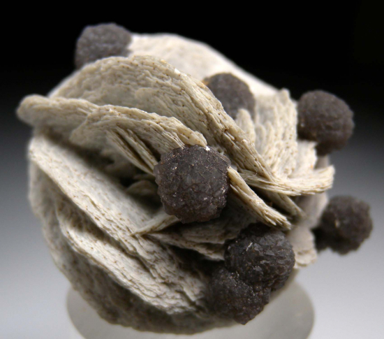 Calcite on Calcite (?) from Herja Mine, Baia Mare, Maramures County, Romania [db_pics/pics/r606c.jpg]