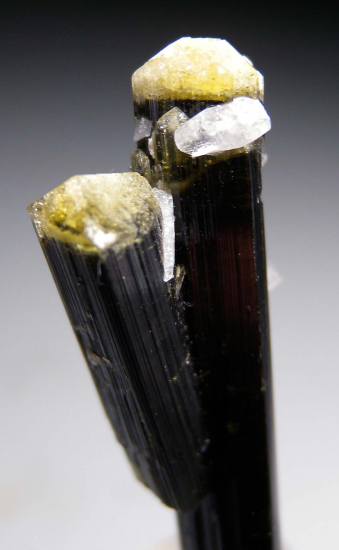 Tourmaline from Stak Nala, Skardu, Pakistan [db_pics/pics/r625b.jpg]