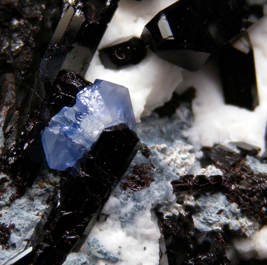 Benitoite, Neptunite from Gem Mine, San Benito Co., California, USA [db_pics/pics/r642c.jpg]