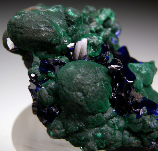 Azurite on Malachite from Tsumeb, Namibia [db_pics/pics/r684b.jpg]
