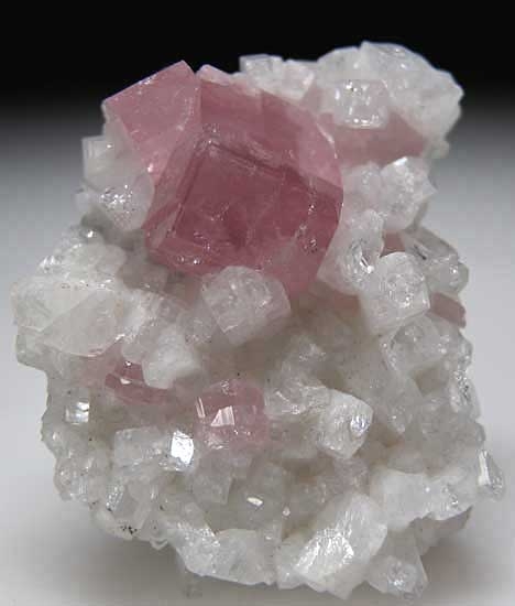 Apatite on Albite from La Marina Mine, Borbur, Boyaca, Colombia [db_pics/pics/sa246a.jpg]