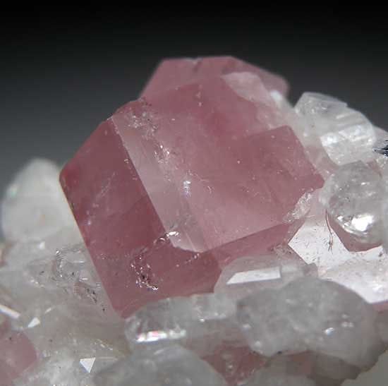 Apatite on Albite from La Marina Mine, Borbur, Boyaca, Colombia [db_pics/pics/sa246b.jpg]