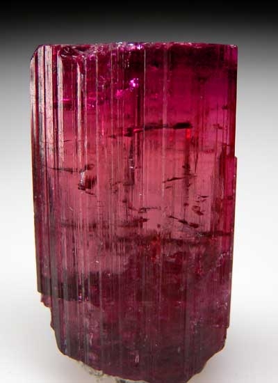 Elbaite from Cruziero Mine, Minas Gerais, Brazil [db_pics/pics/sa815a.jpg]
