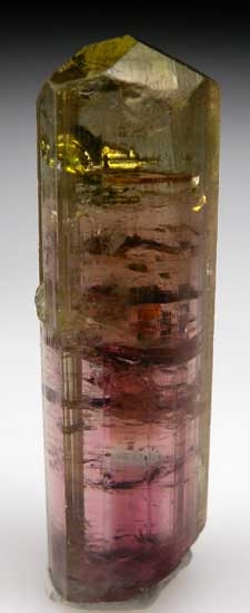 Elbaite from Minas Gerais, Brazil [db_pics/pics/sa816a.jpg]