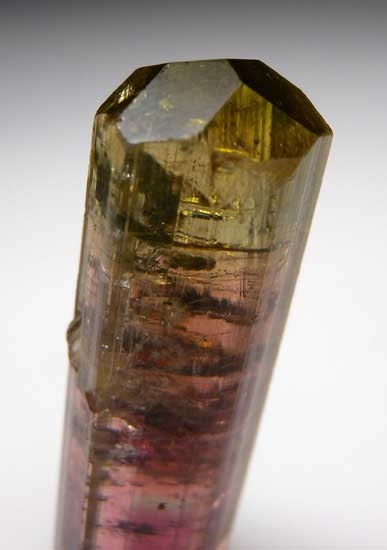 Elbaite from Minas Gerais, Brazil [db_pics/pics/sa816b.jpg]