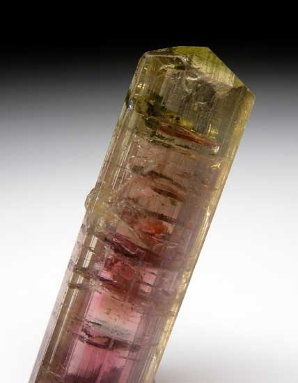 Elbaite from Minas Gerais, Brazil [db_pics/pics/sa816c.jpg]