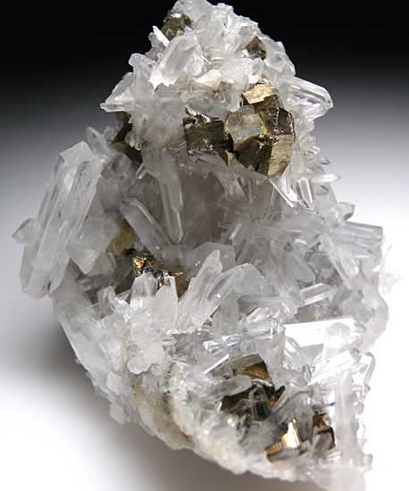Pyrite on Quartz from Alimon Mine, Huaron District, Peru [db_pics/pics/sa920a.jpg]