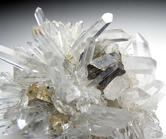 Pyrite, Chalcopyrite, Quartz on Sphalerite from Alimon Mine, Huaron District, Peru [db_pics/pics/sa923b.jpg]