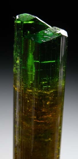 Chrome Tourmaline from Nadonjukin, Simanjiro, Tanzania [db_pics/pics/t109c.jpg]