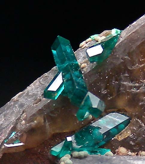 Dioptase on Cerussite from Kaokaveld, Kunene Region, Namibia [db_pics/pics/t119c.jpg]