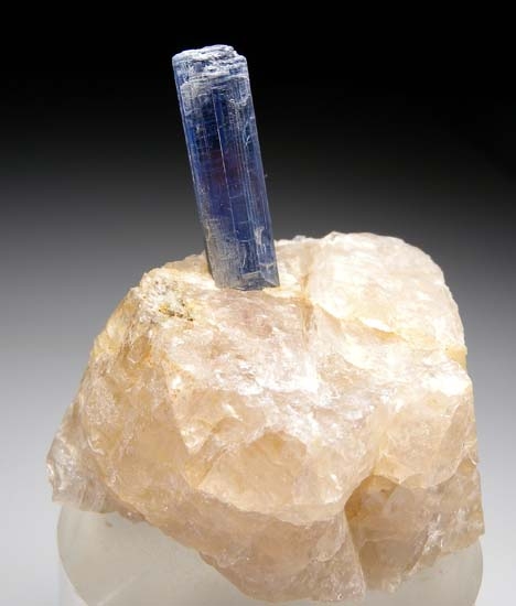 Kyanite in Quartz from Bahia, Brazil [db_pics/pics/t121a.jpg]
