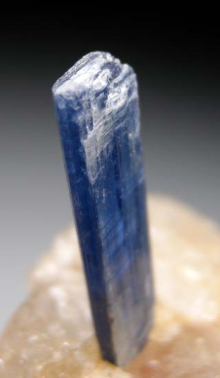 Kyanite in Quartz from Bahia, Brazil [db_pics/pics/t121b.jpg]