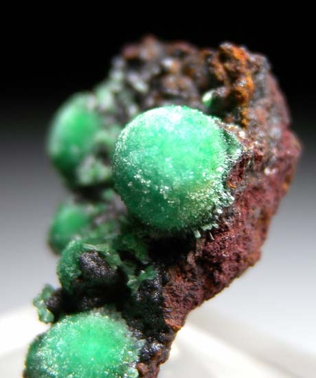 Cuprian Adamite from Gold Hill Mine, Tooele Co., Utah, USA [db_pics/pics/t128b.jpg]