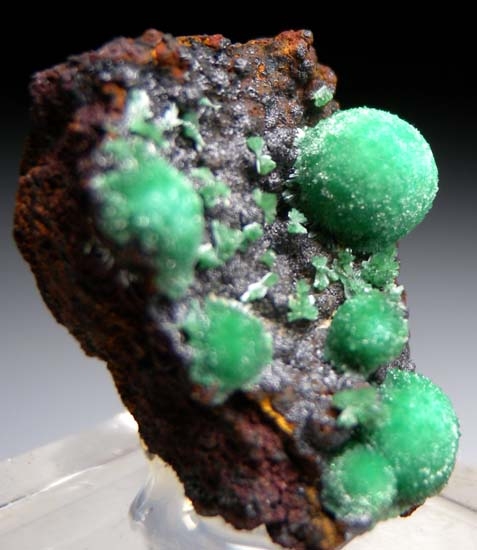 Cuprian Adamite from Gold Hill Mine, Tooele Co., Utah, USA [db_pics/pics/t128c.jpg]